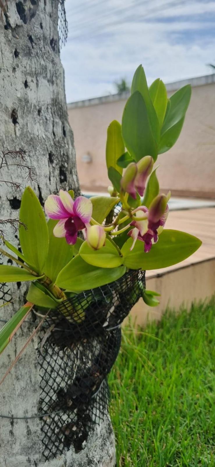 Uma Casa Para O Descanso! กามาซารี ภายนอก รูปภาพ